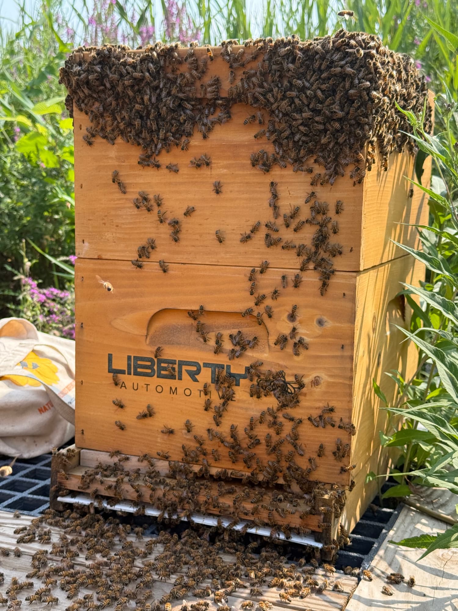 Bees clustered on a Liberty Automotive branded hive