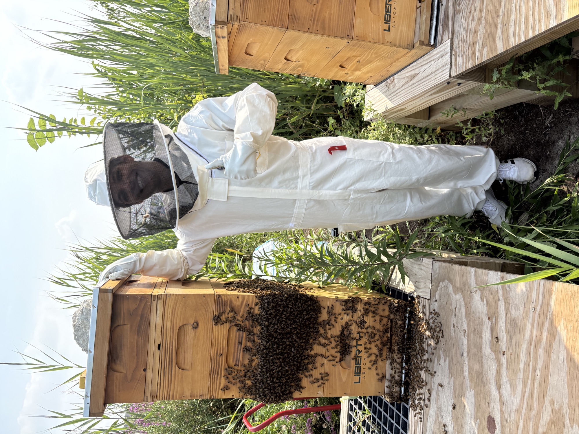 A suited beekeeper standing at an open hive behind Liberty Automotive in Libertyville